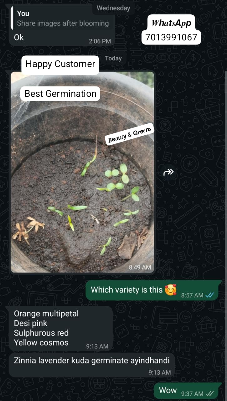 Customer feedback