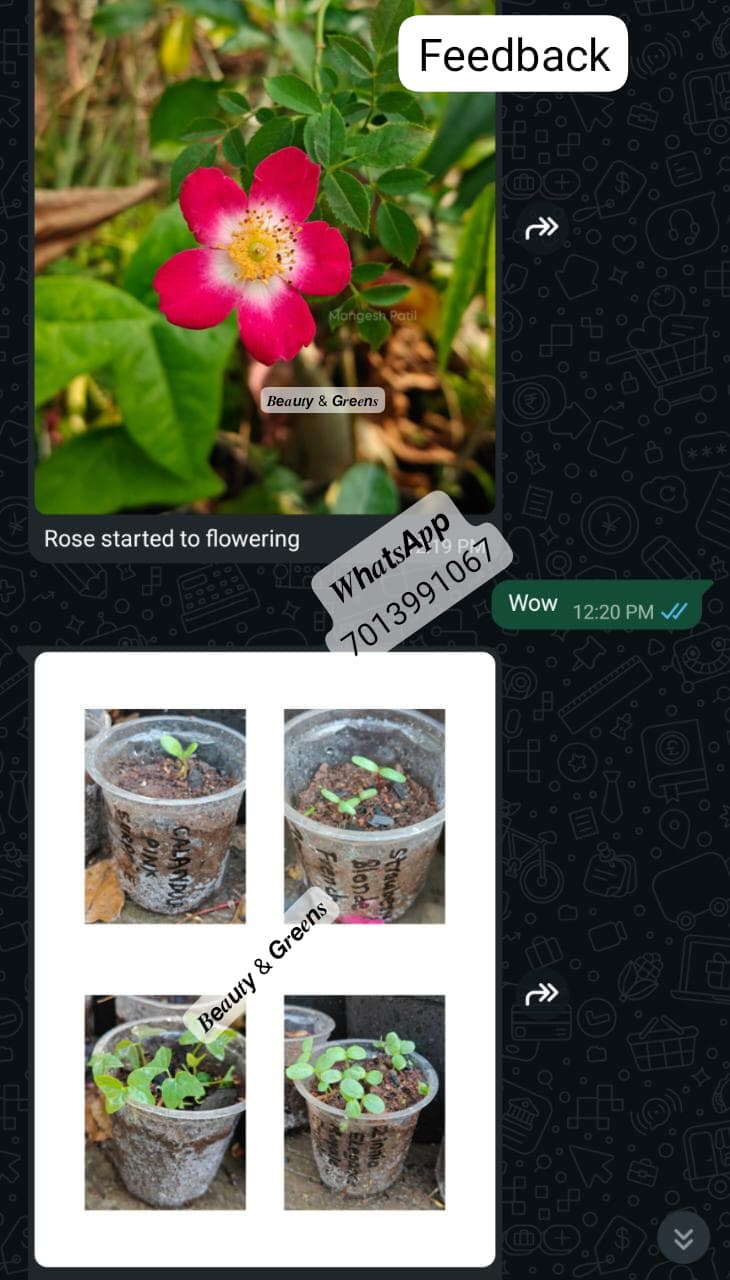 Customer feedback