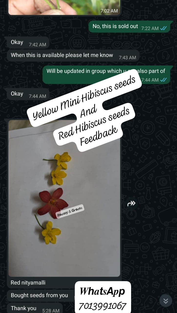 Customer feedback