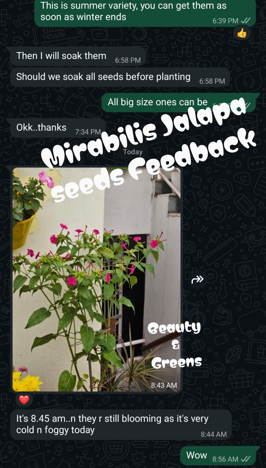 Customer feedback