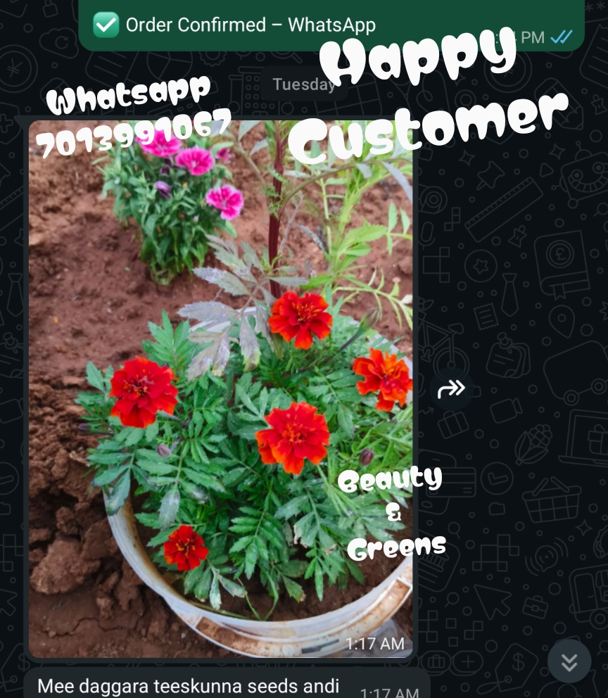Customer feedback