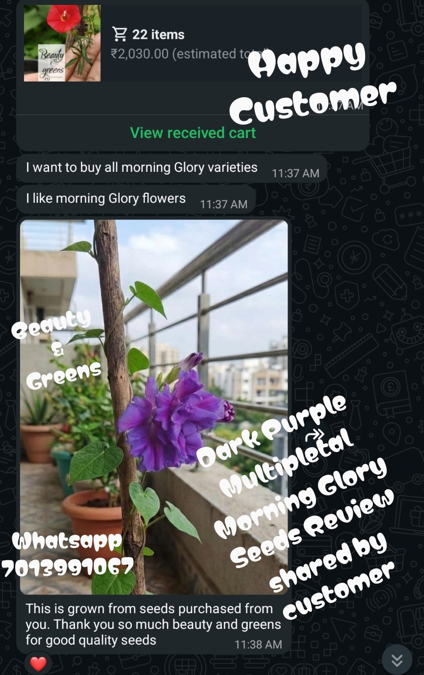 Customer feedback