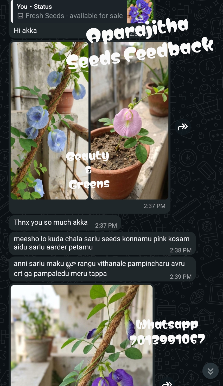 Customer feedback