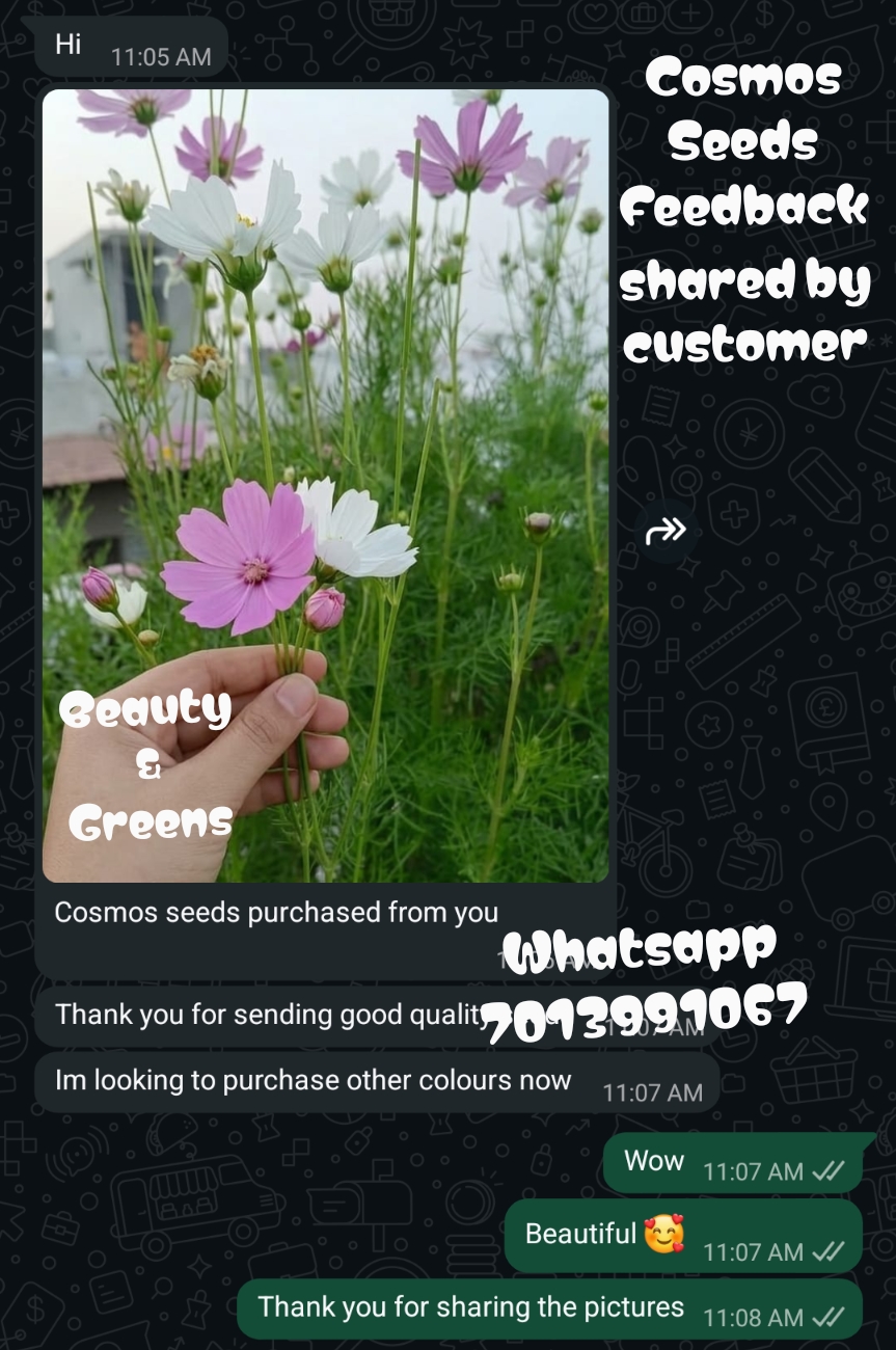 Customer feedback