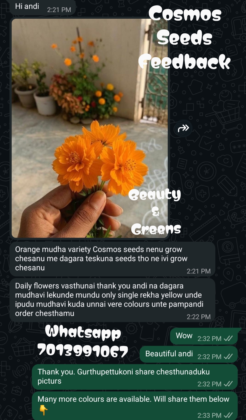 Customer feedback