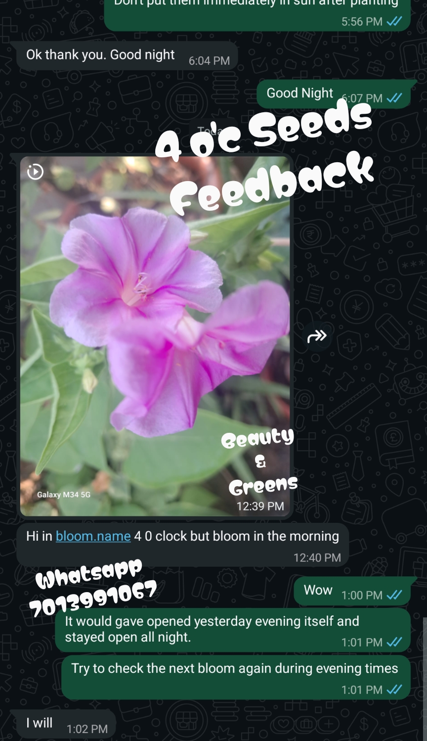Customer feedback