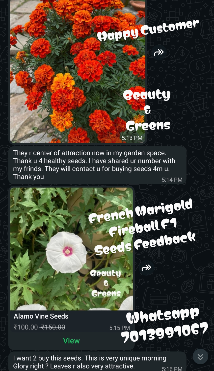 Customer feedback