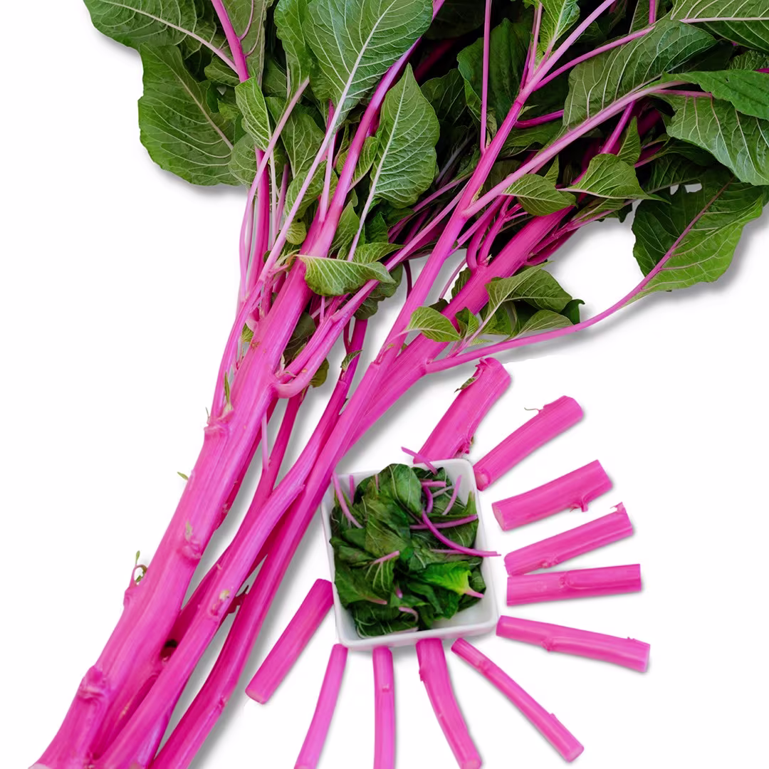 Pink Beauty Amaranthus Seeds